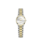 ساعت مچی سوئیس آرت 920168SG1500