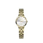 ساعت مچی سوئیس آرت 920172GD0300