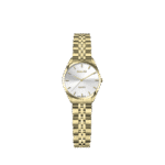 ساعت مچی سوئیس آرت 920178GD0300